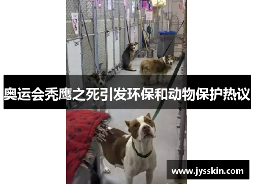 奥运会秃鹰之死引发环保和动物保护热议